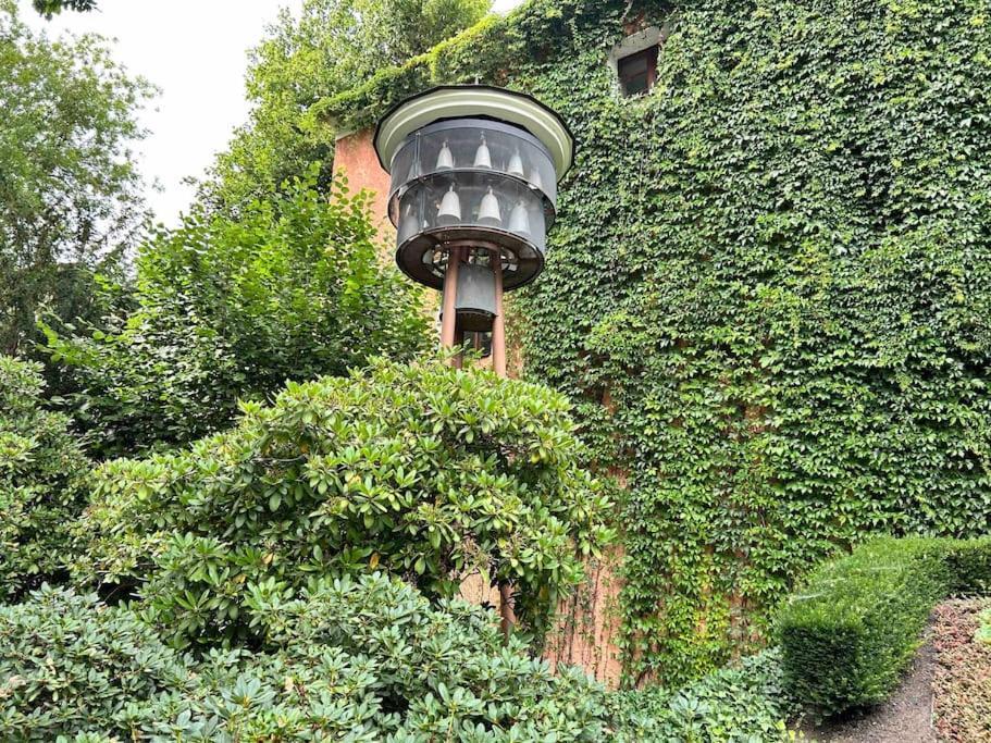 Fewos Anno 1529 In Top-Altstadtlage Von Żytawa Zewnętrze zdjęcie