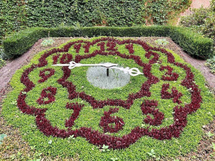 Fewos Anno 1529 In Top-Altstadtlage Von Żytawa Zewnętrze zdjęcie
